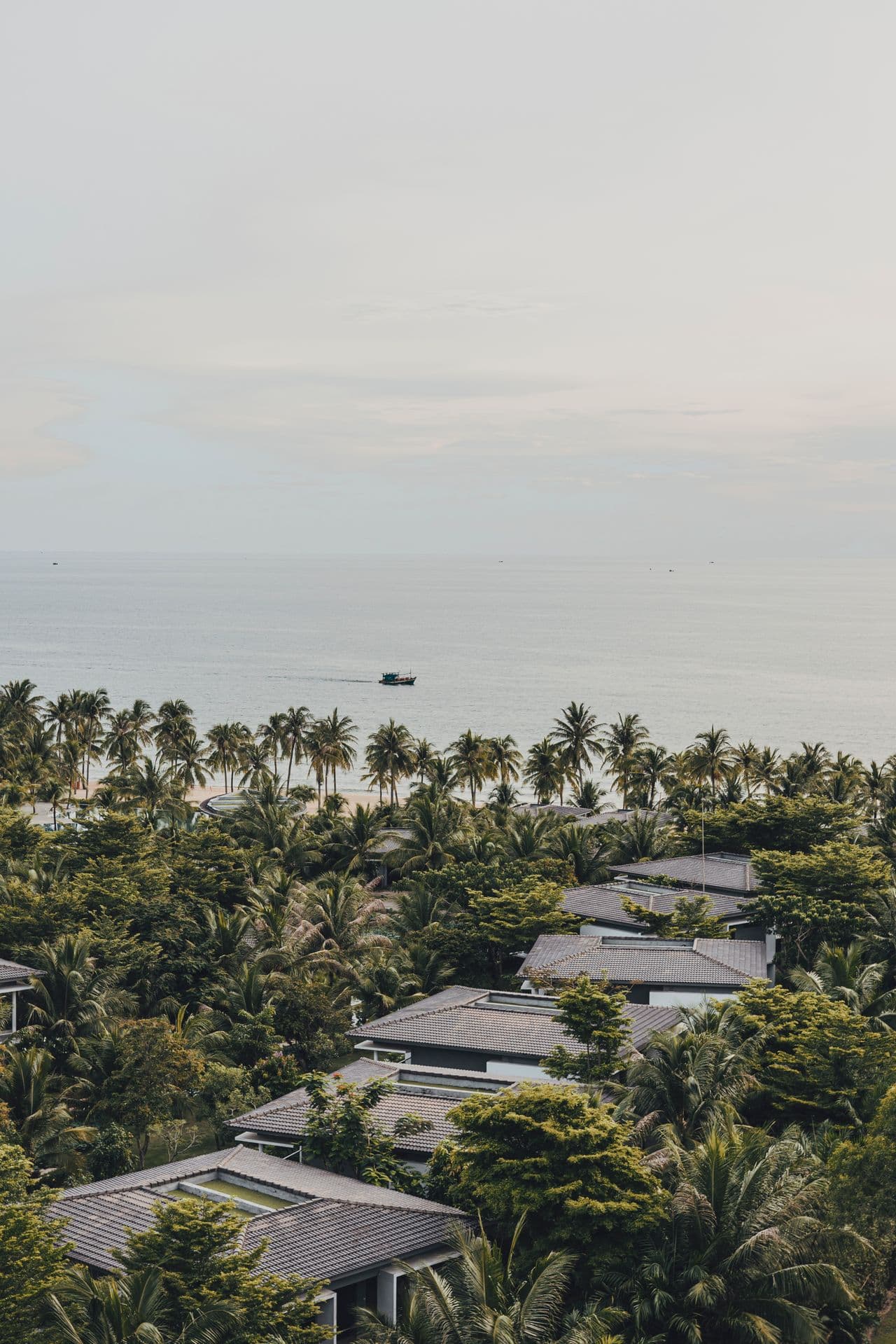 Những mái nhà dưới hàng dừa tại một khu nghỉ ven biển