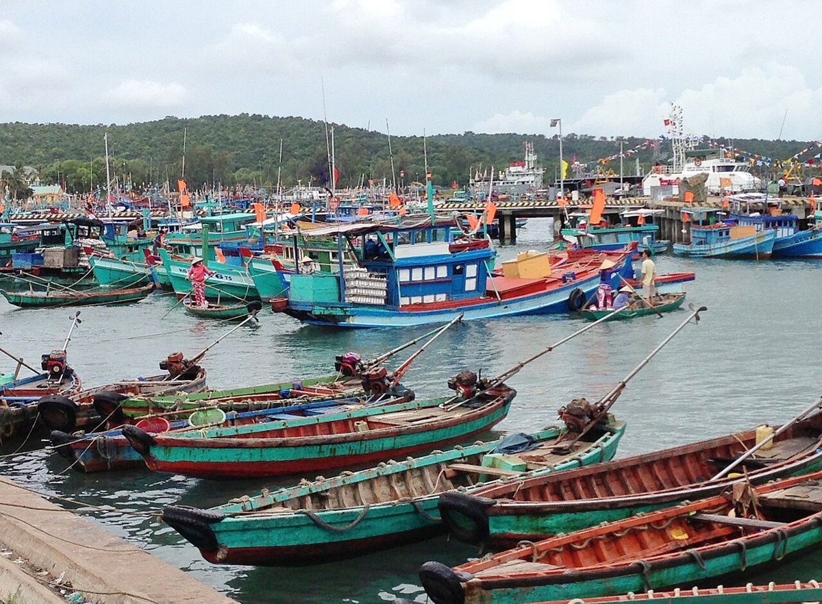 Xuồng gỗ và ghe đánh cá sơn xanh đỏ neo sát bờ kè ở An Thới.