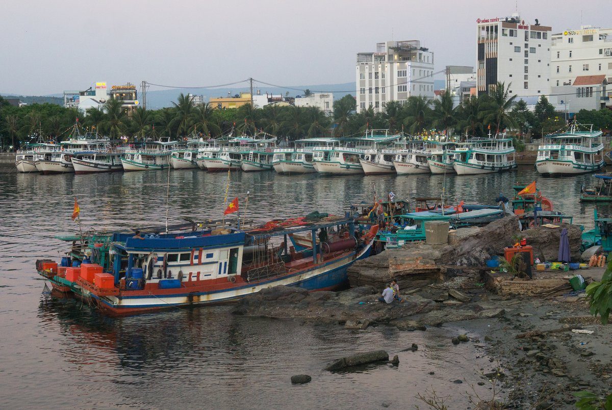 Ghe cá và tàu du lịch đậu kín mặt sông Dương Đông, bờ đá phía trước, nhà cửa và hàng dừa phía sau