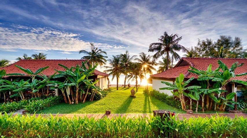 Hai biệt thự mái ngói đỏ giữa vườn cây nhiệt đới, bãi cỏ phía trước, mặt trời sau hàng dừa.