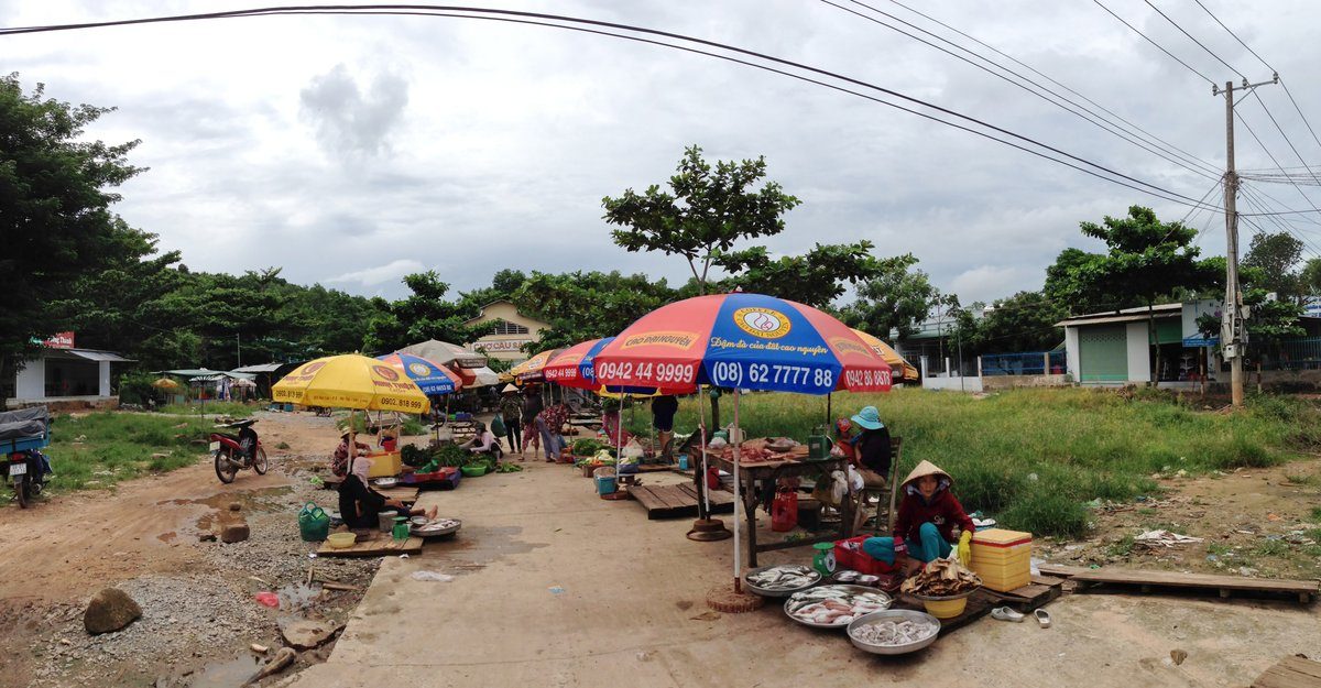 Hai dãy dù che hàng ở chợ Cầu Sấu, người bán đội nón lá ngồi cạnh mâm cá, phía sau là nhà chợ và hàng cây