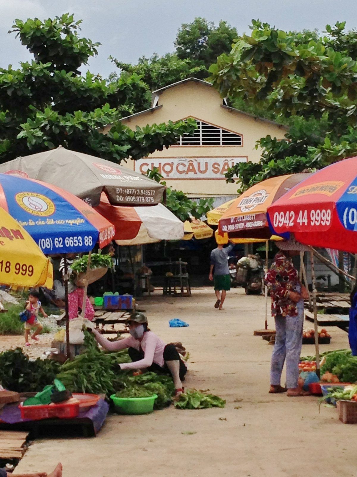 Nhà chợ sơn vàng có chữ Chợ Cầu Sấu sau tán cây, phía trước người bán đội mũ bảo hiểm xếp bó rau xanh dưới dù