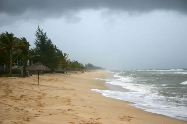Bãi Trường — dải bờ biển